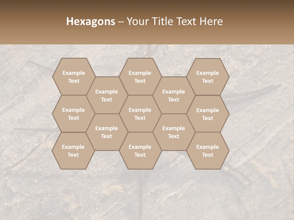 Life Caucasian Pensioner PowerPoint Template