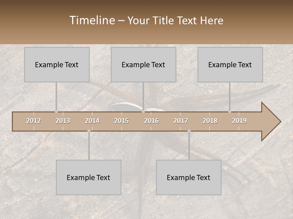 Life Caucasian Pensioner PowerPoint Template