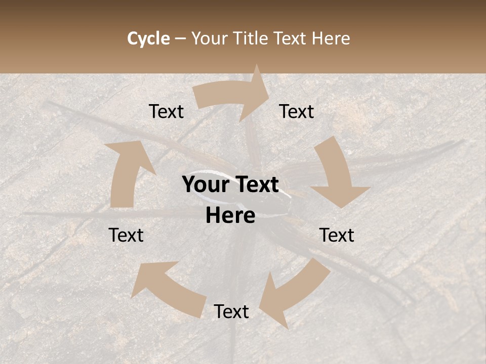 Life Caucasian Pensioner PowerPoint Template