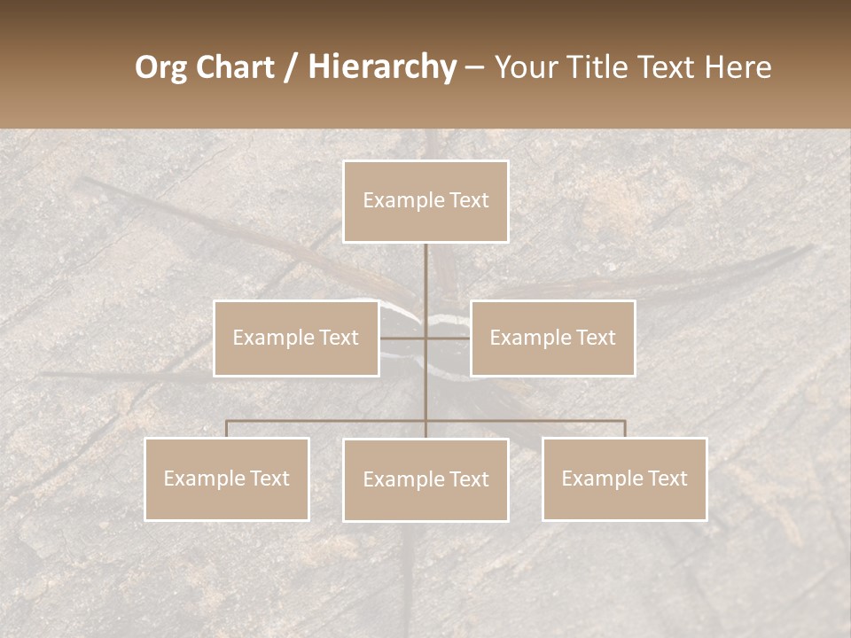 Life Caucasian Pensioner PowerPoint Template