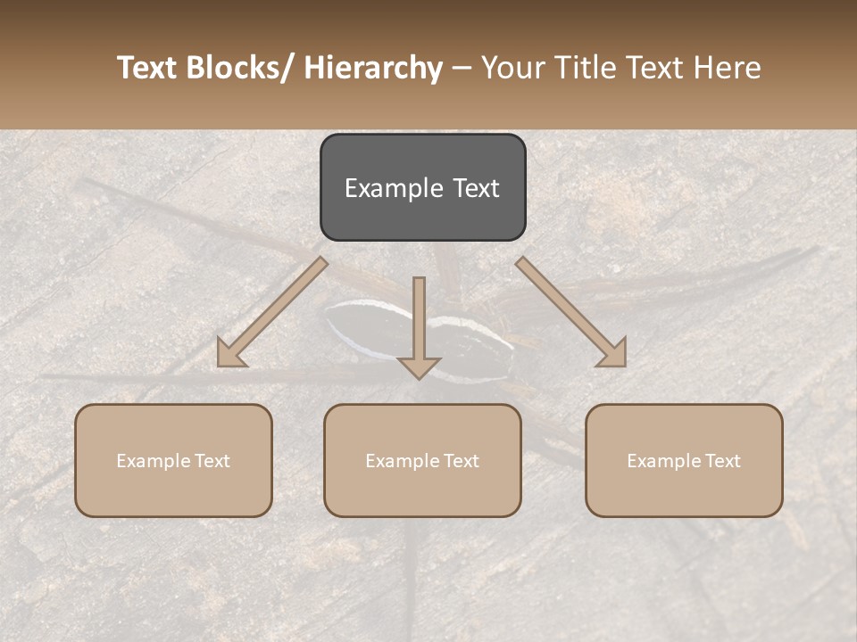 Life Caucasian Pensioner PowerPoint Template