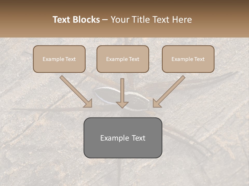 Life Caucasian Pensioner PowerPoint Template