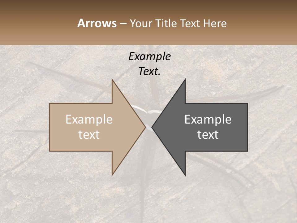 Life Caucasian Pensioner PowerPoint Template