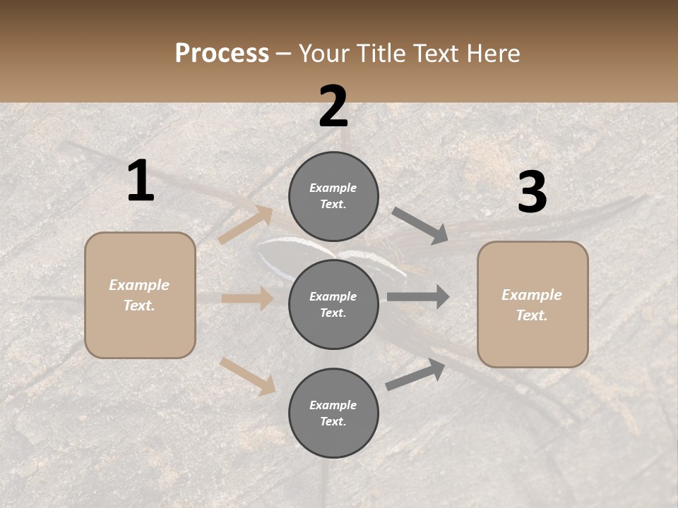 Life Caucasian Pensioner PowerPoint Template