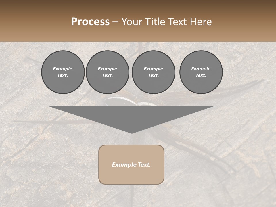Life Caucasian Pensioner PowerPoint Template