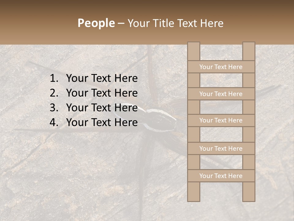Life Caucasian Pensioner PowerPoint Template