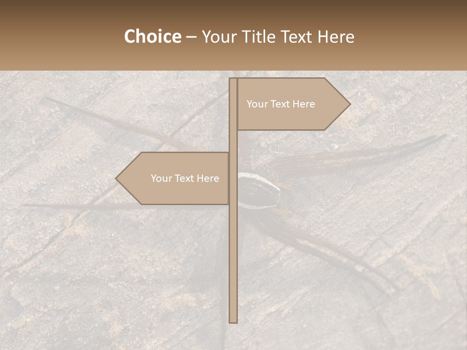 Life Caucasian Pensioner PowerPoint Template