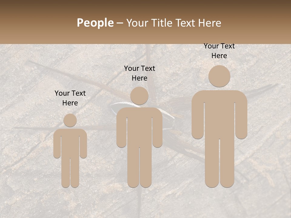 Life Caucasian Pensioner PowerPoint Template