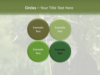 Standing Retirement Calm PowerPoint Template