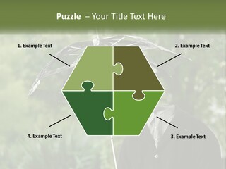 Standing Retirement Calm PowerPoint Template
