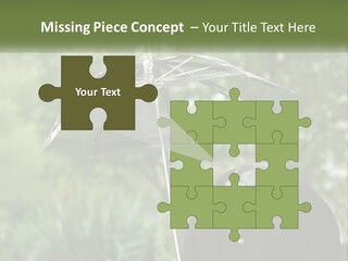 Standing Retirement Calm PowerPoint Template