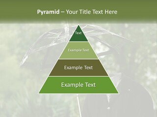 Standing Retirement Calm PowerPoint Template