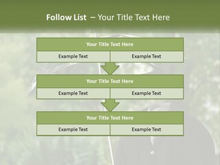 Standing Retirement Calm PowerPoint Template