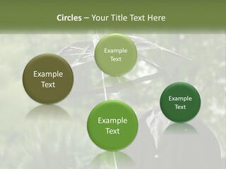 Standing Retirement Calm PowerPoint Template