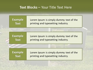 Calm Wave Sunset PowerPoint Template