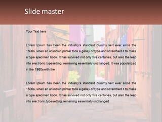 Woman Sunset White PowerPoint Template