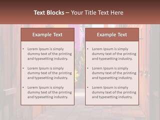 Woman Sunset White PowerPoint Template