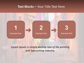 Woman Sunset White PowerPoint Template