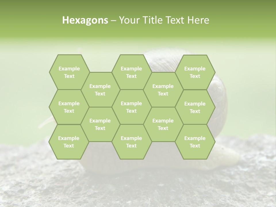 Senior Daughter Sea PowerPoint Template