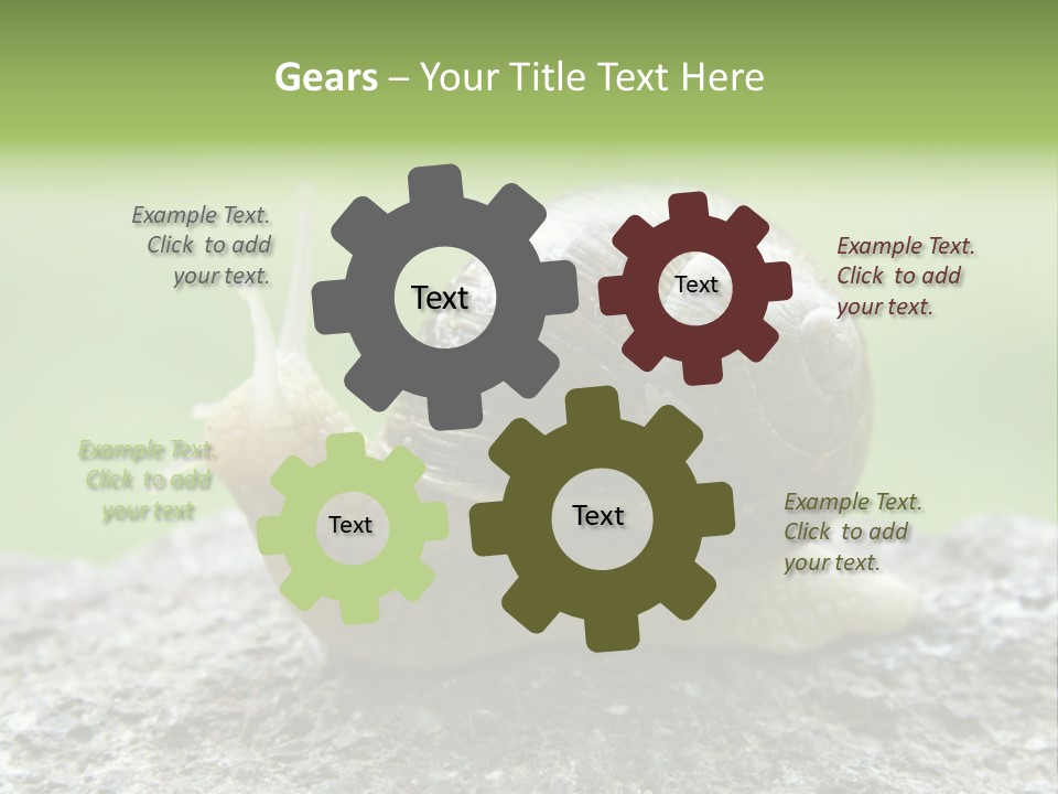 Senior Daughter Sea PowerPoint Template