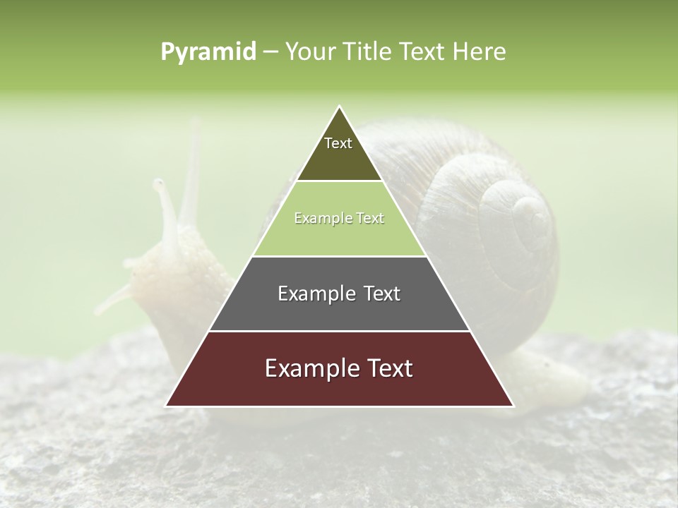 Senior Daughter Sea PowerPoint Template