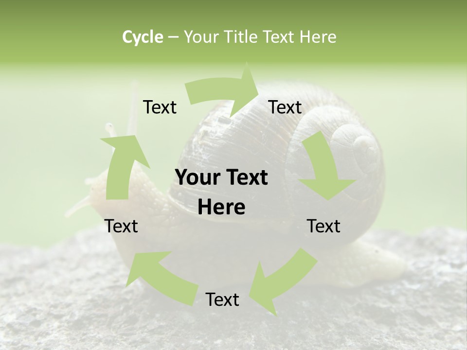 Senior Daughter Sea PowerPoint Template