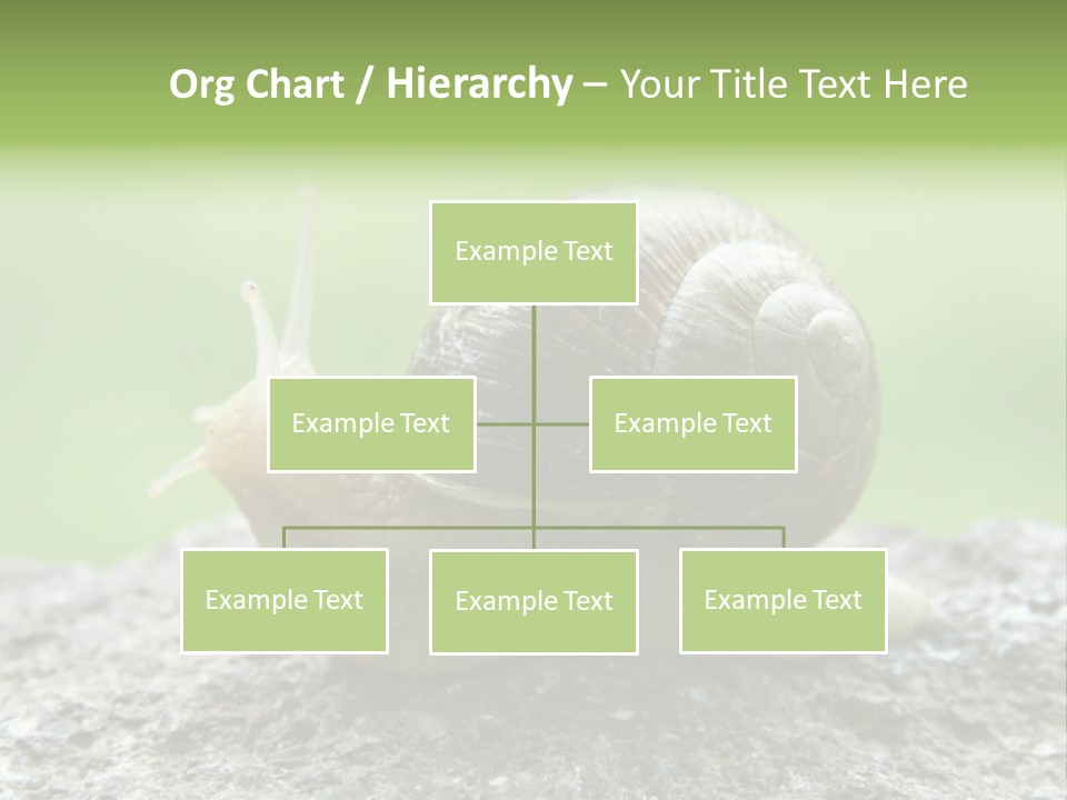 Senior Daughter Sea PowerPoint Template