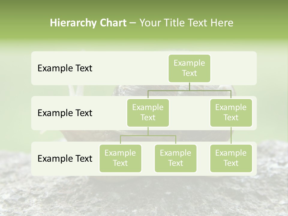 Senior Daughter Sea PowerPoint Template