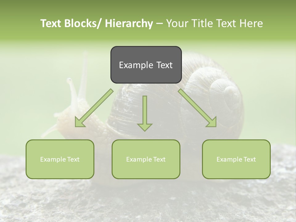 Senior Daughter Sea PowerPoint Template