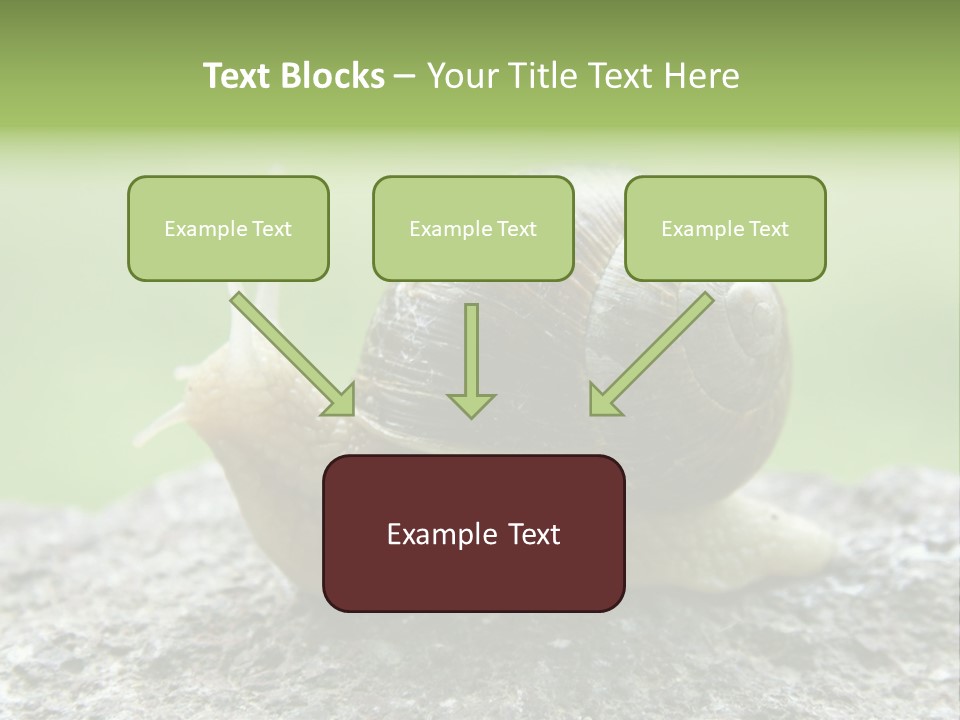 Senior Daughter Sea PowerPoint Template