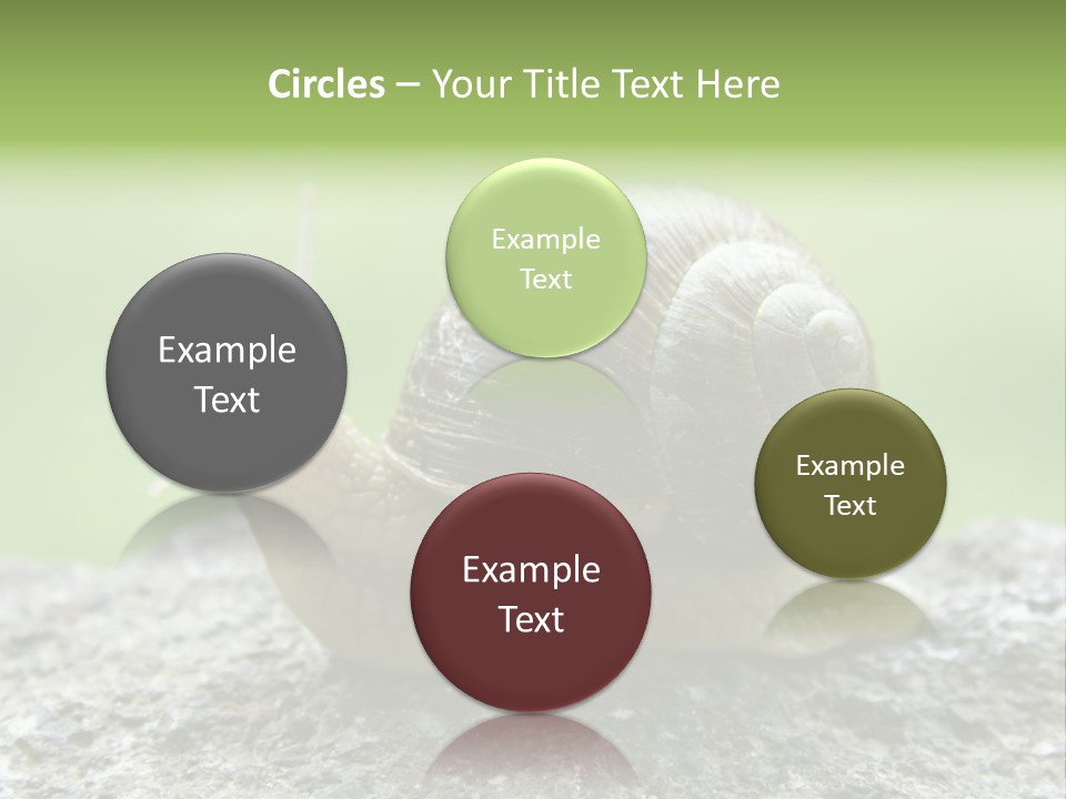 Senior Daughter Sea PowerPoint Template