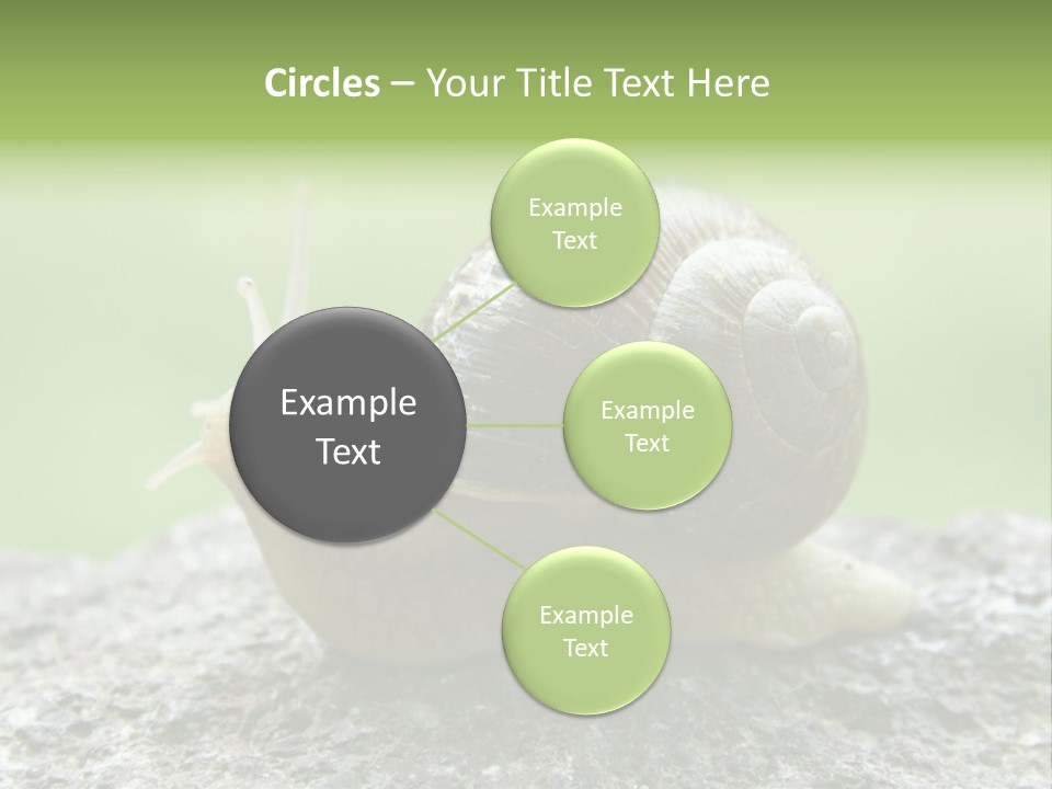 Senior Daughter Sea PowerPoint Template