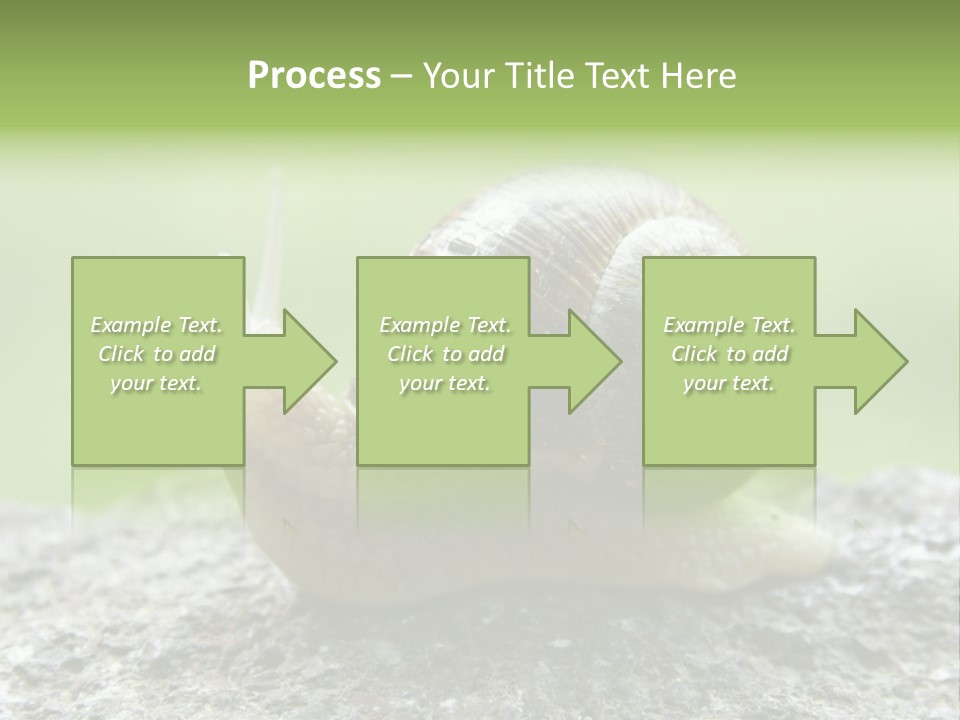 Senior Daughter Sea PowerPoint Template