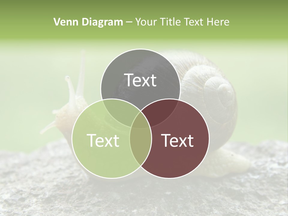 Senior Daughter Sea PowerPoint Template