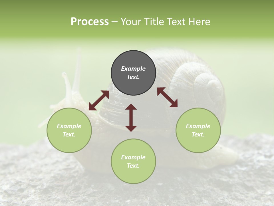 Senior Daughter Sea PowerPoint Template