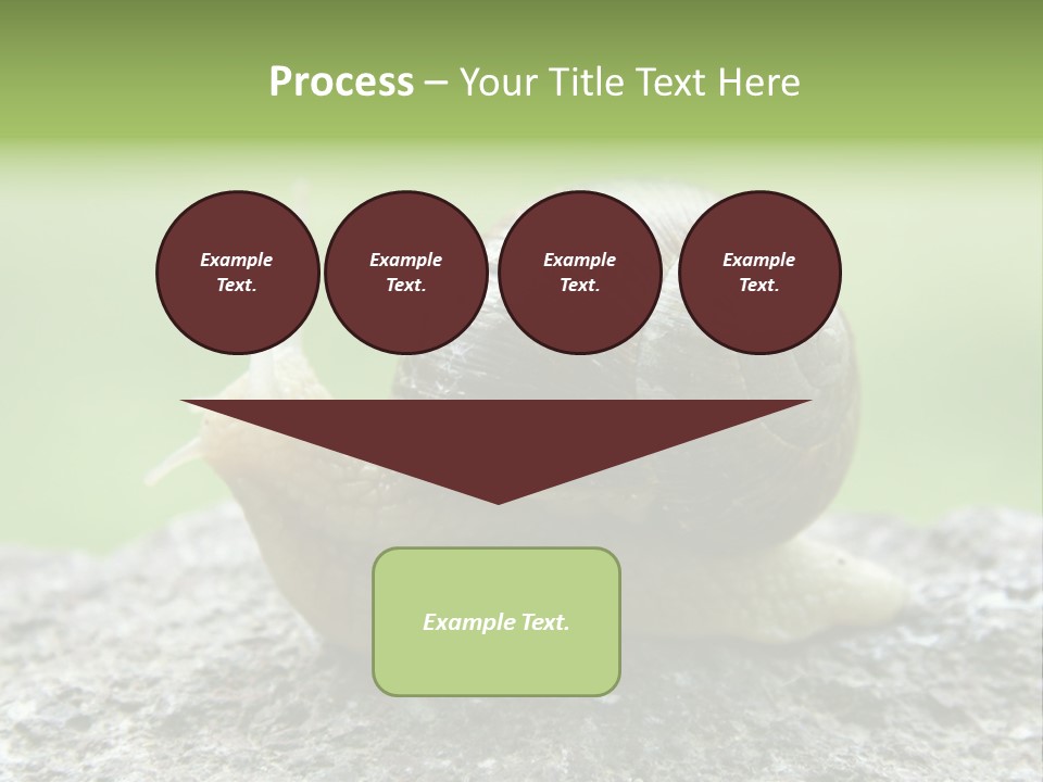 Senior Daughter Sea PowerPoint Template