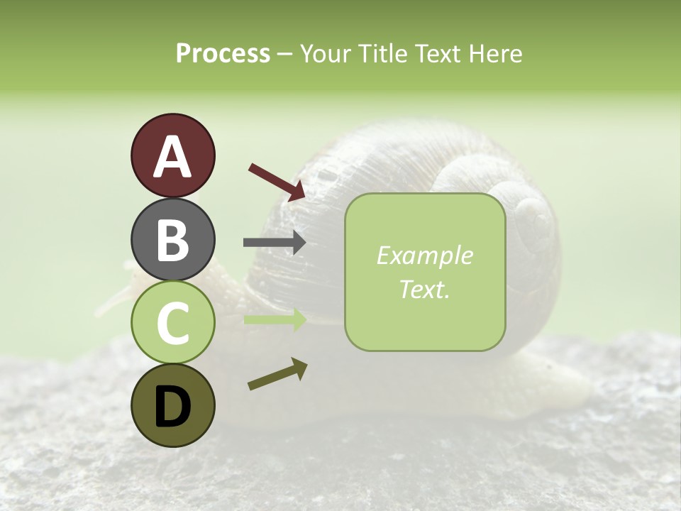 Senior Daughter Sea PowerPoint Template