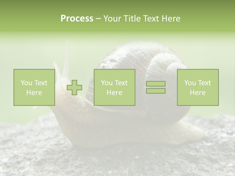 Senior Daughter Sea PowerPoint Template