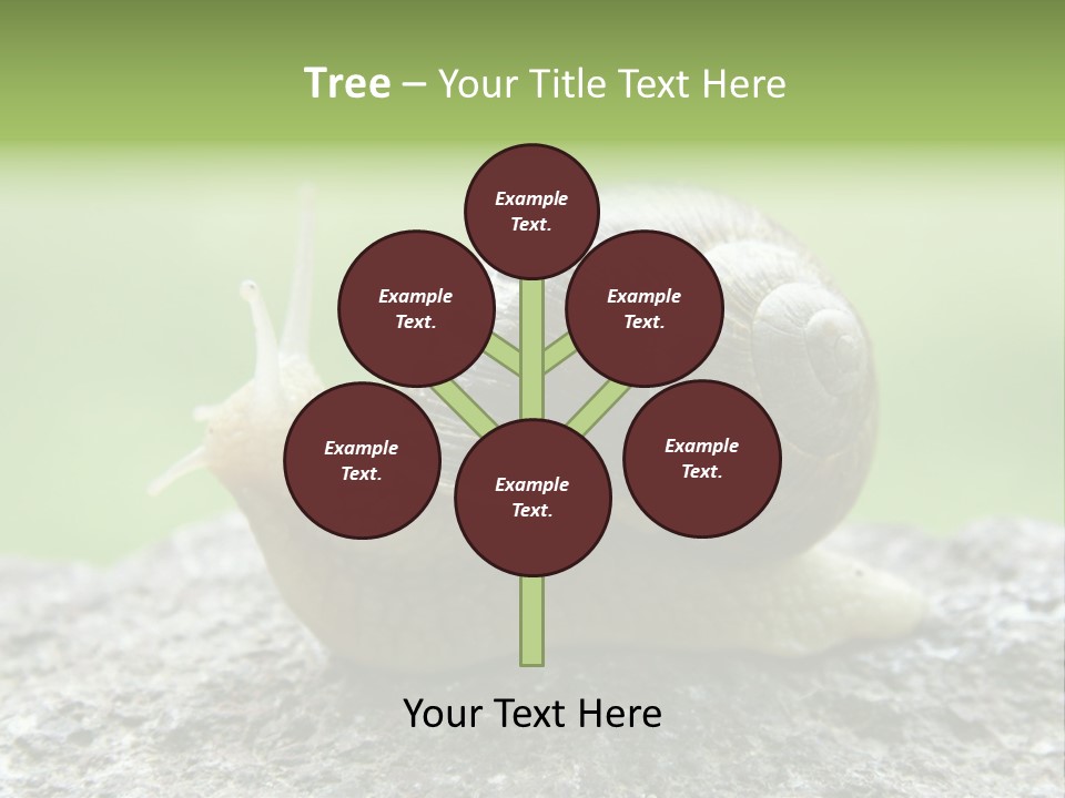 Senior Daughter Sea PowerPoint Template