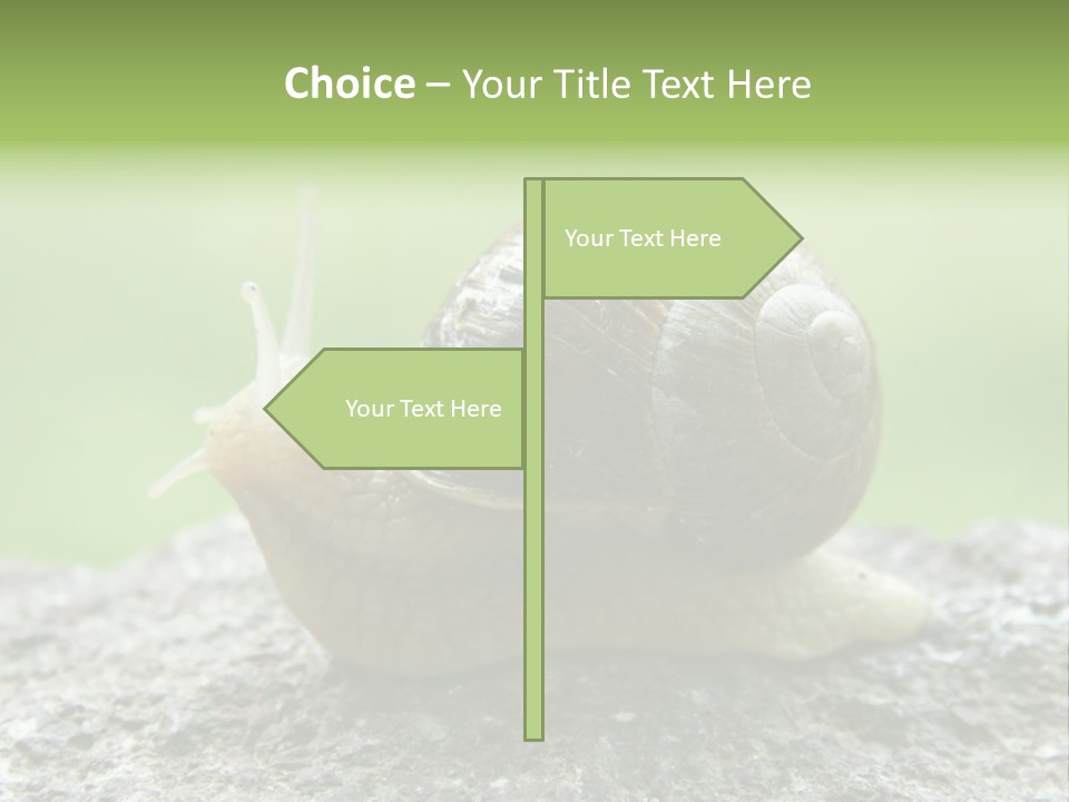 Senior Daughter Sea PowerPoint Template