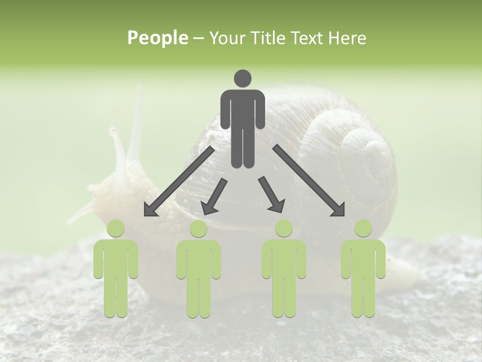 Senior Daughter Sea PowerPoint Template