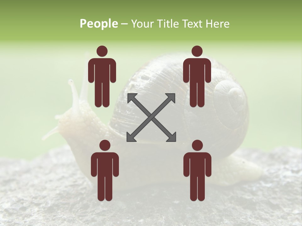 Senior Daughter Sea PowerPoint Template