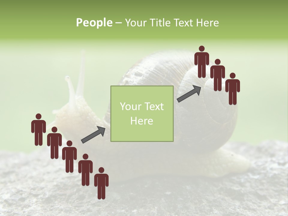 Senior Daughter Sea PowerPoint Template