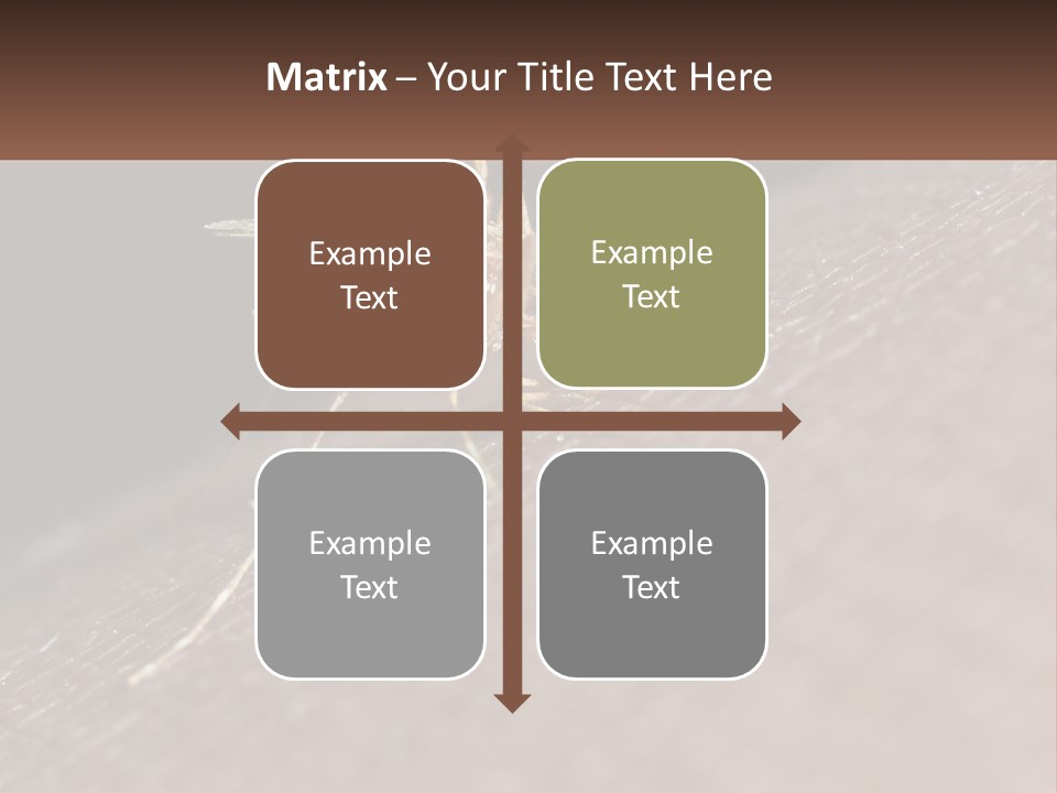 Daughter Water Elderly PowerPoint Template