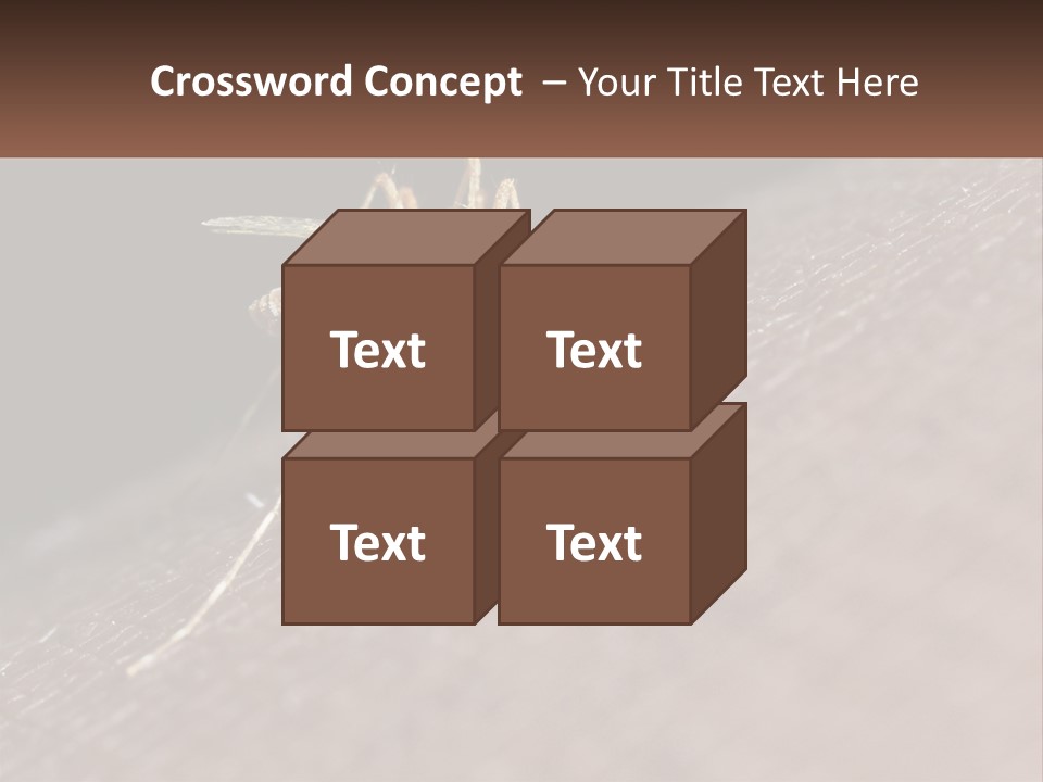 Daughter Water Elderly PowerPoint Template