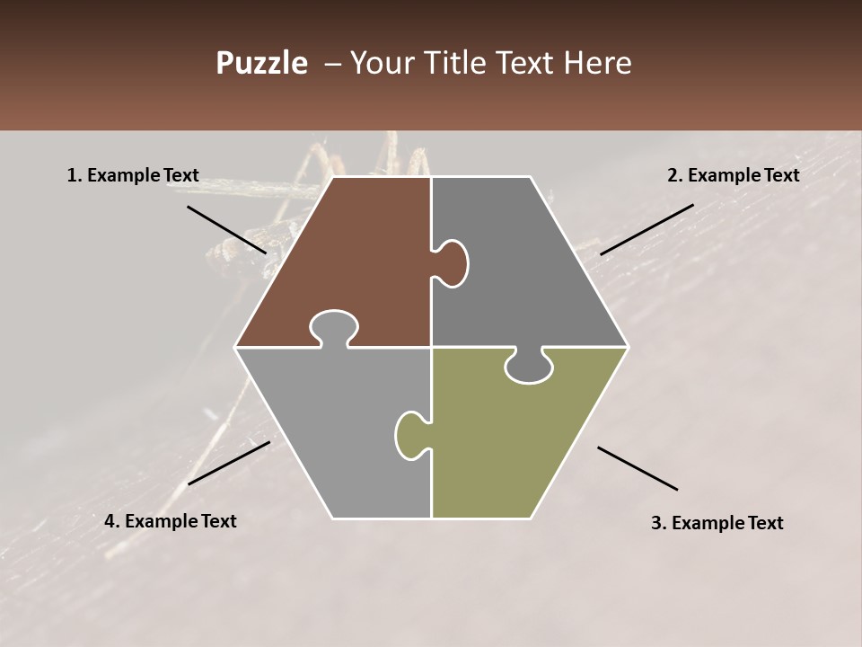 Daughter Water Elderly PowerPoint Template