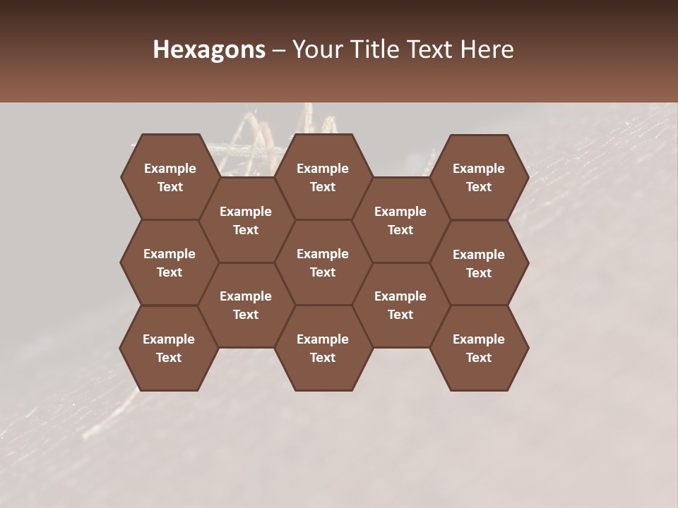 Daughter Water Elderly PowerPoint Template