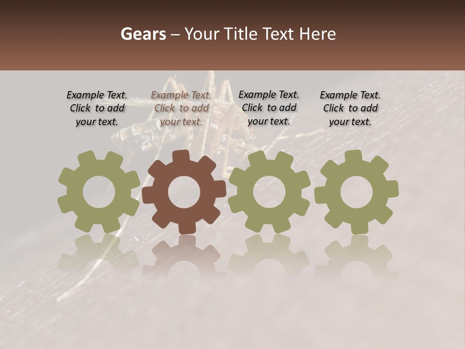 Daughter Water Elderly PowerPoint Template