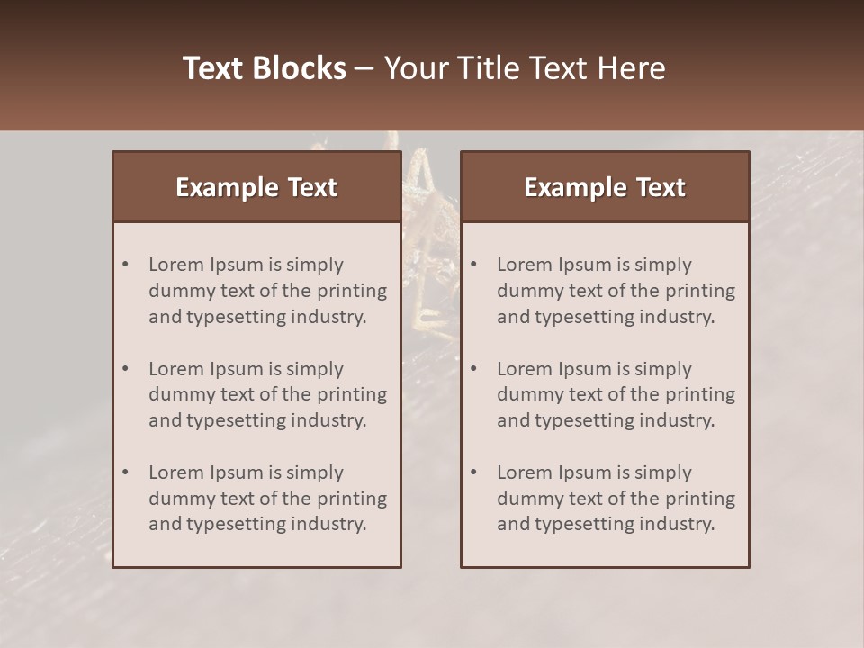 Daughter Water Elderly PowerPoint Template