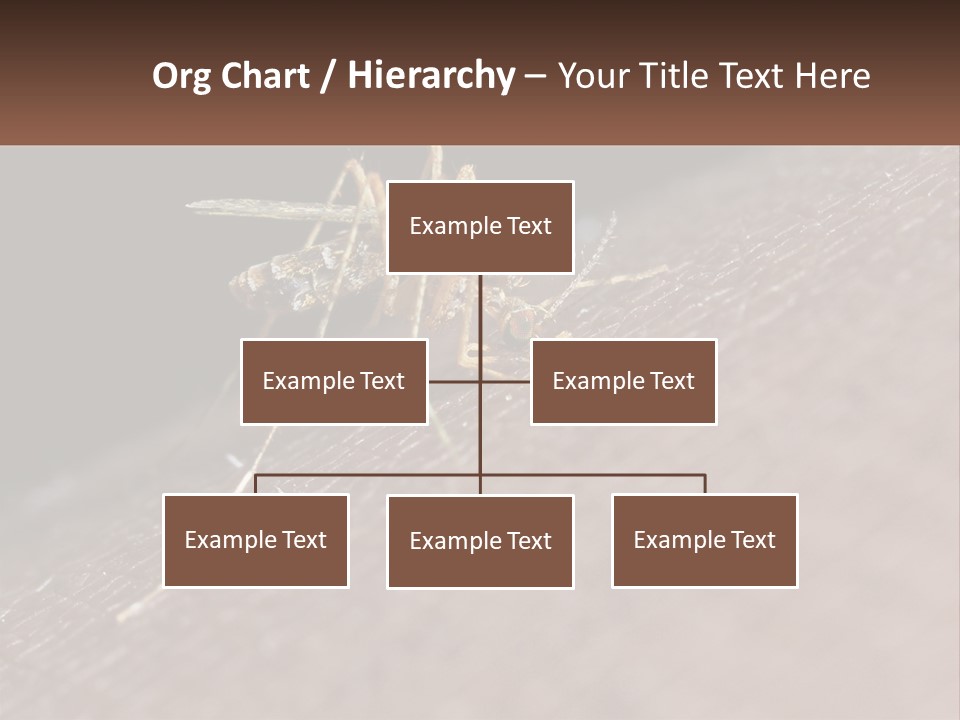 Daughter Water Elderly PowerPoint Template